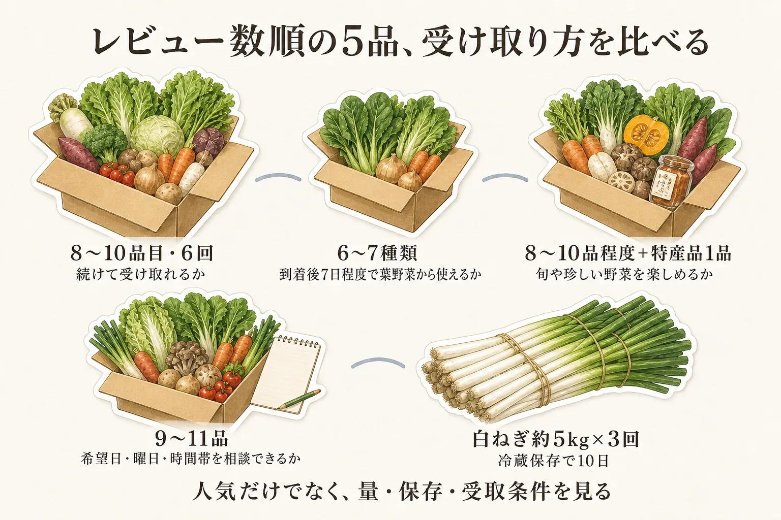ふるさと納税の野菜定期便5品の届き方を比較する図。鹿島市は8〜10品目を6回、大洲市は6〜7種類を到着後7日程度で消費、美浜町は8〜10品程度と特産品1品を選べる回数で、南伊豆町は9〜11品を希望日・曜日・時間帯の相談とともに、境港市は白ねぎ約5kgを毎月1回・全3回届ける。品目数、保存目安、受取条件で選ぶことを示す